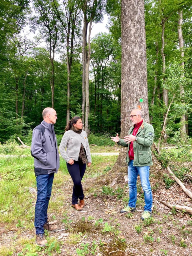 Fédération des Tonneliers de France - Communiqué de presse : la filière méranderie/tonnellerie rencontre la députée Cattelot chargée d’une mission sur la forêt française