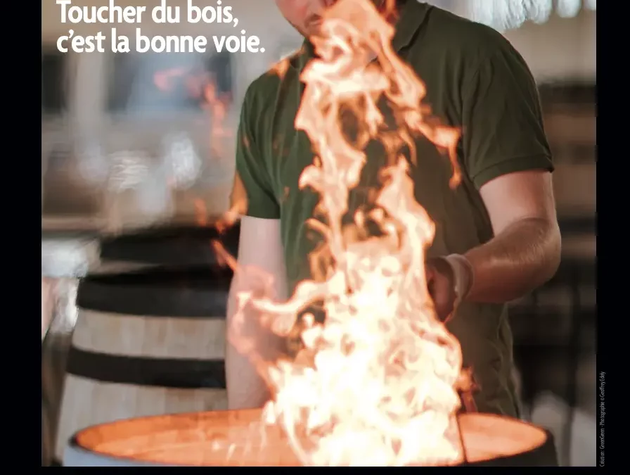 Journée Portes ouvertes 2026 : toucher du bois, c’est la bonne voie…