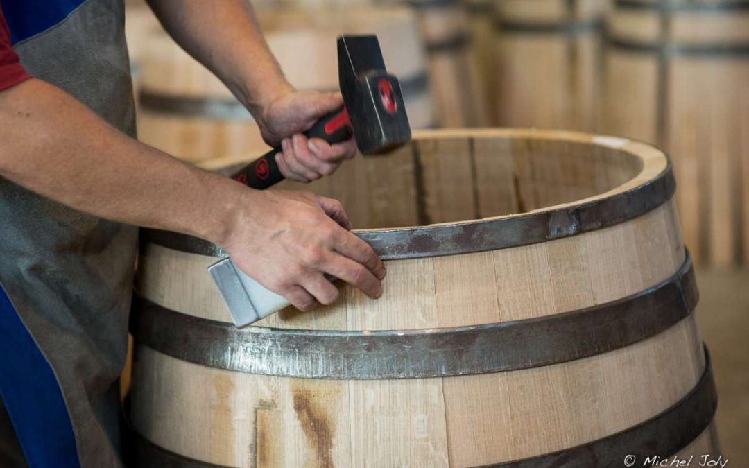 Sud Radio / In vino